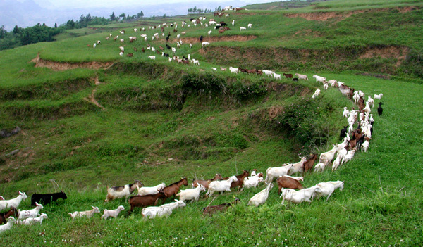 ���B�����I���Ĳ��z