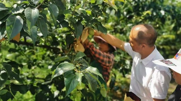 ��Ԫ�d���ڽo�׹��״�