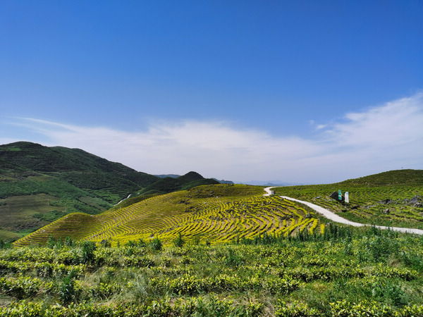 Ӗ�҉β�ɽ��