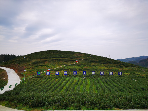 �Լ҉β�@һ����