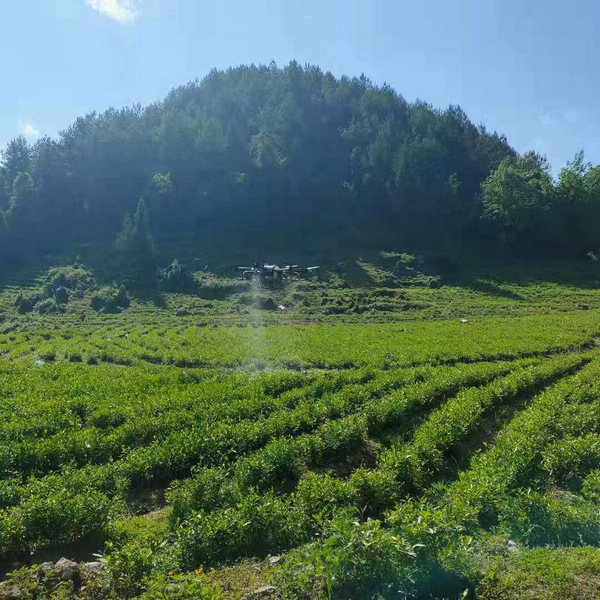 �o�˙C(j��)�������I(y��)��