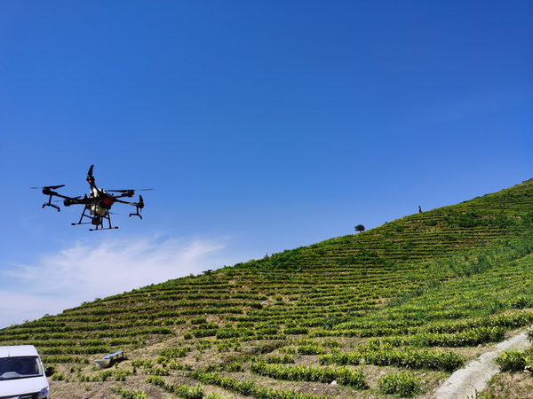 �o�˙C�������I��