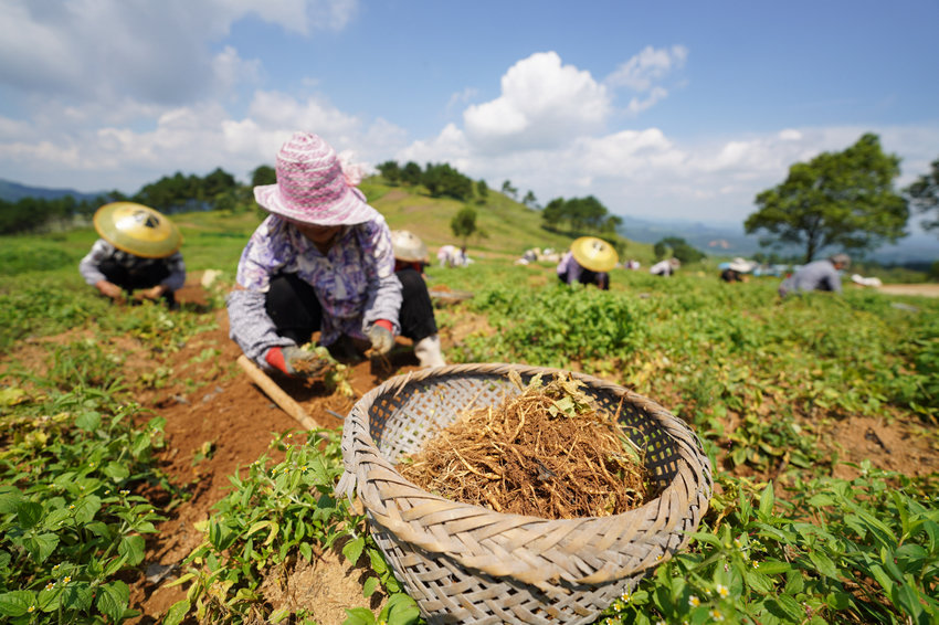 77գFʡկhddʴˎķNֲز̫Ӆ