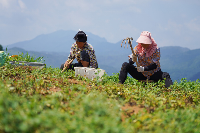 77գFʡկhd(zhn)dʴˎķNֲز̫Ӆ