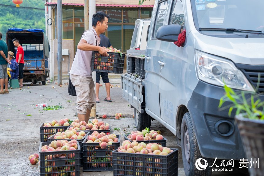 Јȣˮ؜턂ُGtҡW Ϳz