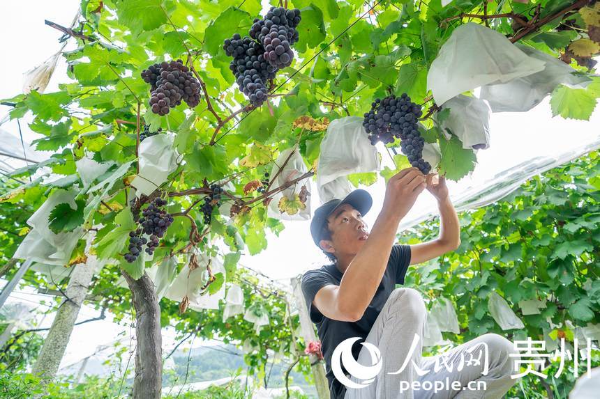 ш@TI(y)鿴L(sh)W(wng) Ϳz