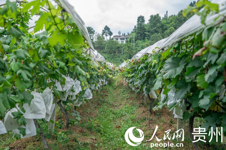 _ꖿhSlRrʳѲժ^@ȼѡW Ϳz