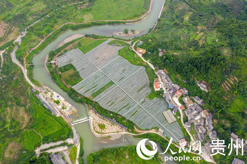 _ꖿhSlRrʳѲժ^@W Ϳz