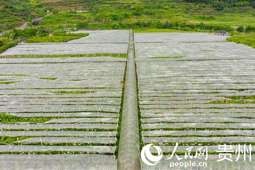 _ꖿhSlRrʳѲժ^@W Ϳz