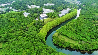 �񎧳����@���S�������������z