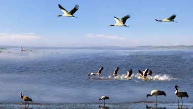 �ƺ��Ǻ��������ݺ����ژs�z