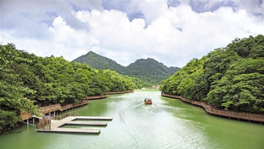 �ŵ�ˮ�����Ҽ�ɭ�ֹ��@�� �w���z