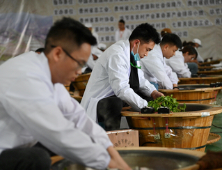 ��ِ�F���������֔z             �F��ʡ���Č��ֹ��Ʋ輼�ܴ�ِ�ڮ����e��           5��25����27�գ�ʡ��һ�ِ����������̫�O�Ų豭���F��ʡ���Č��ֹ��Ʋ輼�ܴ�ِ���F��ʡ����ùŘ�趷��ِ�ڡ��Ї��Ų��֮�l�������������P�^�e�У��F��ʡ��12֧����꠹�76���x�օ��ӹŘ��ӹ����ܴ�ِ��45����I�x�͵�70����Ӆ��ӹŘ�趷��ِ��    ��������F��������ס�lչ�����B�ɗl�׾�������a�I����Gɫ���B�a�I����ɫ���ݮa�I��Óؚ�����a�I���l�����d���c�a�I��ץ���F�ݲ�Ʒ�Ƃ������@����������     