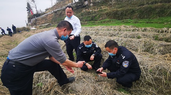 �����Ÿ����������`�С���Ⱥ���\�Ҹ���������