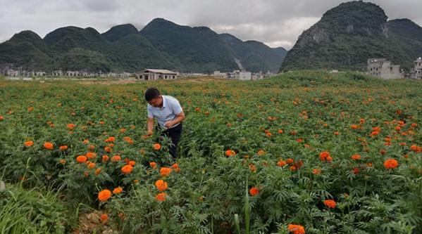 �����ġ����ֽ�(j��ng)���͌����ġ����ֽ�(j��ng)��