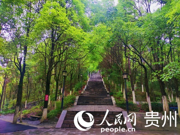 _@̎Ҫ^o[Gݲ_AW ƽܔz