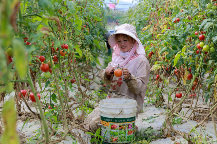 2021821գFʡǭķֵ￲^ڲմȳt