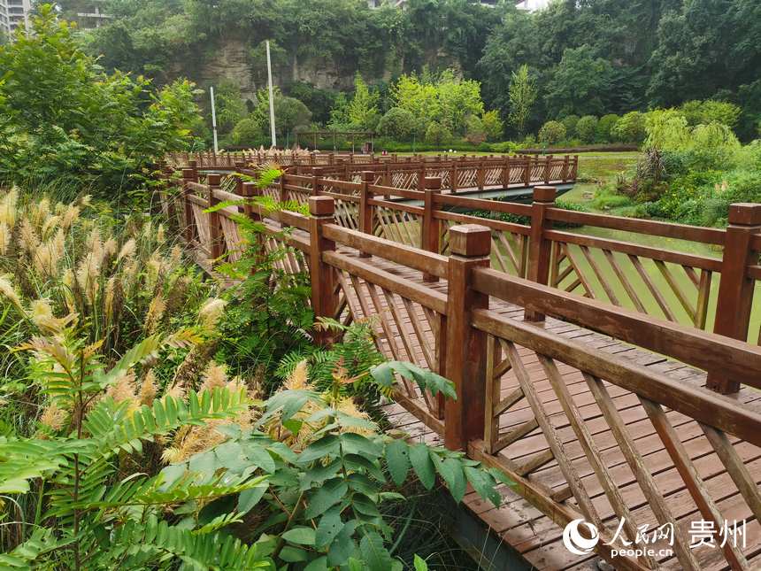 ɭֹ@(ni)һǡW(wng) ꐾz