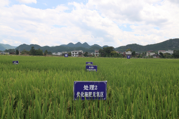 ����ʩ�ʟo���^���M���z