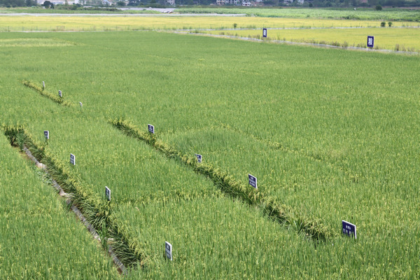 ����һ�ǡ��M���z