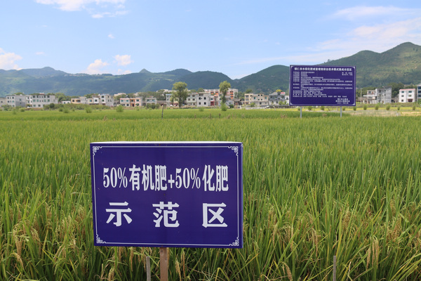 ʾ���^(q��)���M(f��i)���z