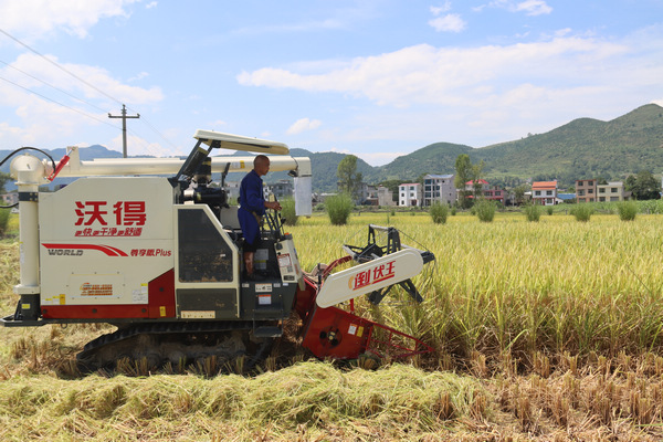 �Cе���ո�ȡ��M���z