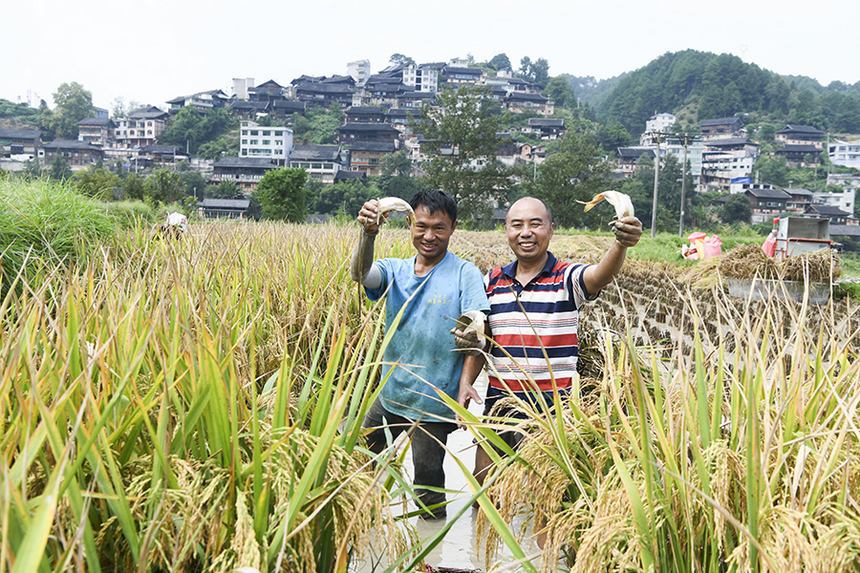 2021912ڄP_ѽֵ춡׽~ʺz