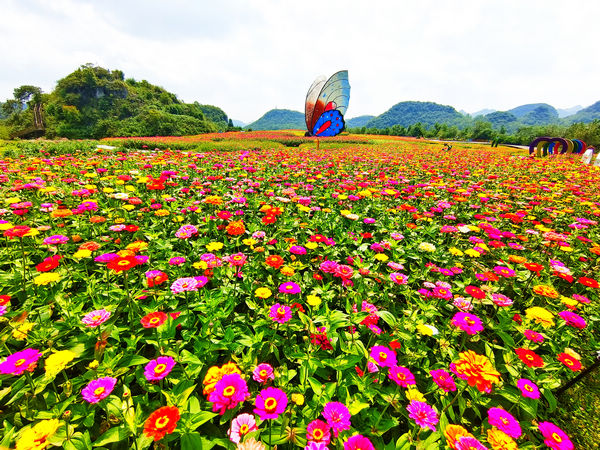 ��ɽ����һ�ǡ��w�A���z