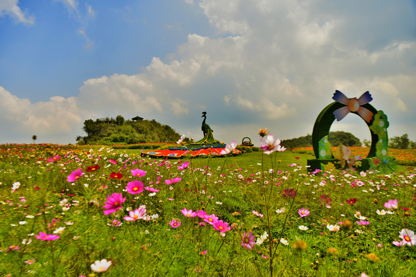 ��ɽ����һ�ǡ��w�A���z