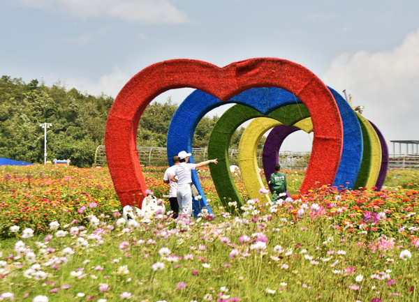 �ο������p�����w�A���z