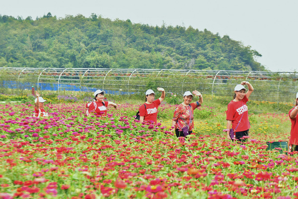 �ο������p�����w�A���z