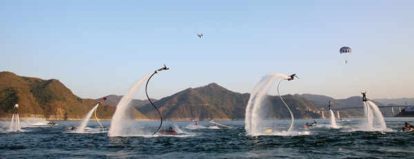 �ο��^�� �w�ˮ�ϊʘ��Ŀ��