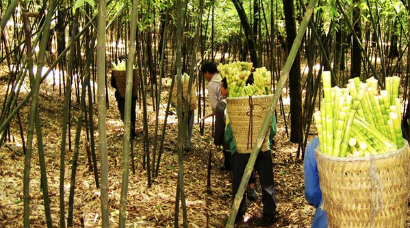 �F��ͩ����һ��ˮ��һ���� ��ɽ�����f�¡���