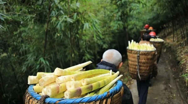 �n�䷽��Gɽ�^ ���н���������