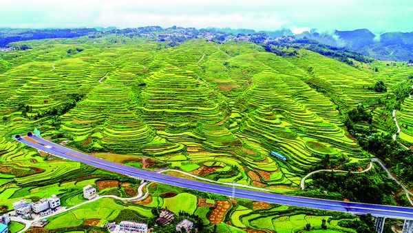 �����퍡����呪�z