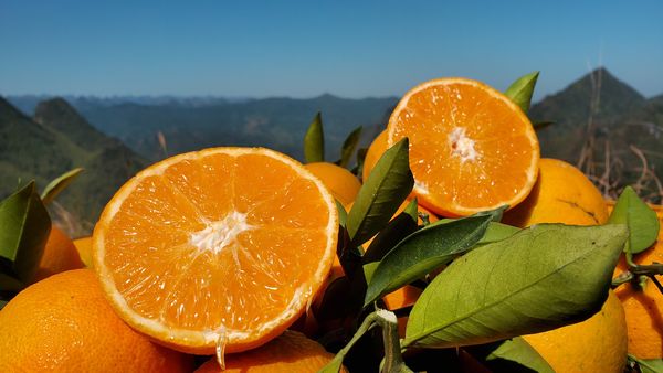 �_��Ě����