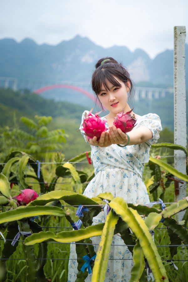 �ο��ڲ�ժ�������