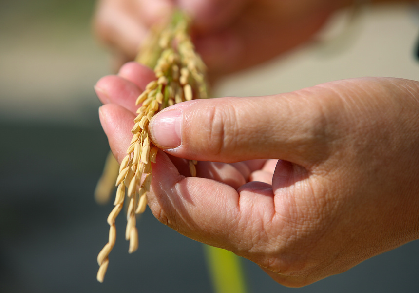 2021929գFʡοhµ悶ƺ壬rˆTMМyaʌWz