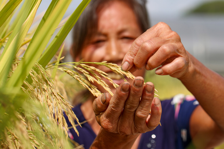 2021929գFʡοhµ悶ƺ壬rڲ鿴w ʌWz