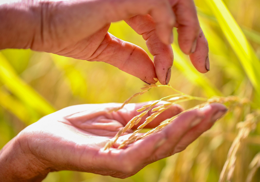 2021929գFʡοhµ悶ƺ壬rڲ鿴w ʌWz