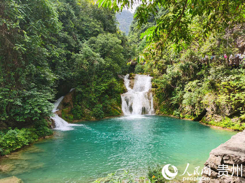貴州荔波小七孔景區(qū)。人民網(wǎng) 陳晶晶攝