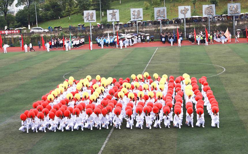 \ӕ_ĻʽϵķꇱݡFIgWԺFίD