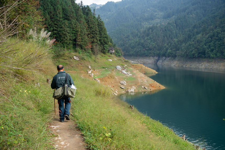 ���ֲ��������Ͱ���������W(w��ng) Ϳ���z