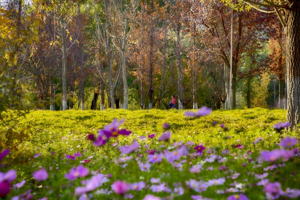 �����P(gu��n)���@һ����