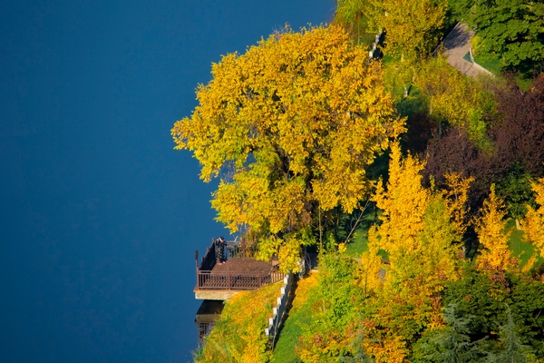 �����P�^���