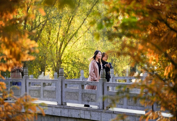 �����P�^���һĨ��ɫ��