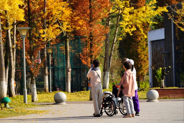 �p�������