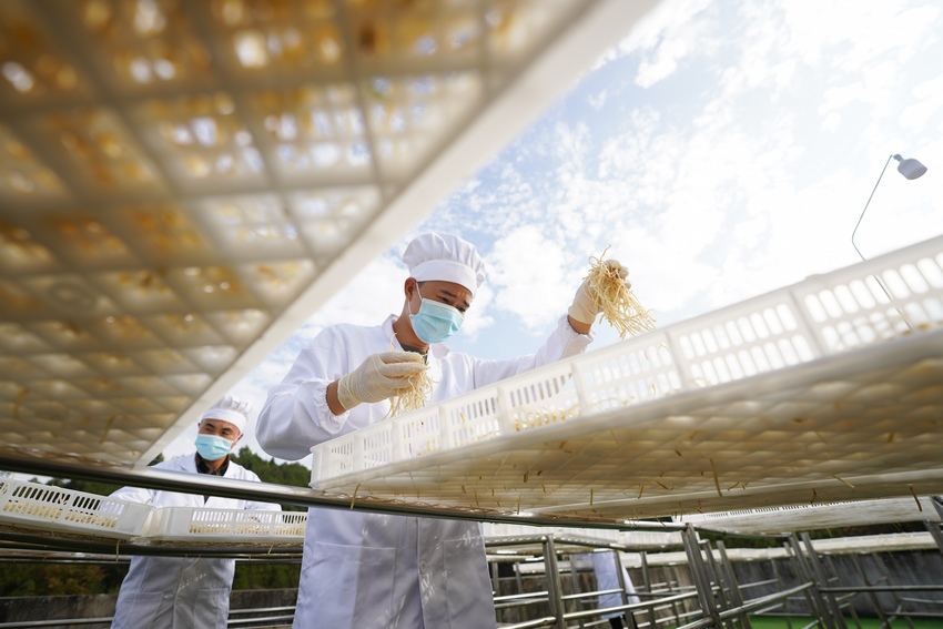 115FʡկhȪRկϪ־²˸ӹS֣ǰ͹²˸