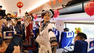 �F�������ƽ���ϡ���ʭh(hu��n)�������d̖��܇