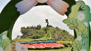 ������N����ɽ���Ⱦ��^(q��)�M��ʢ���� ������c�p�������r